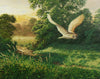 Barn Owl In Flight - The Wallington Gallery
