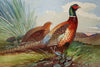 Pheasant and Grey Partridge in Summer - The Wallington Gallery