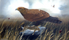 Golden Eagle with Brown Hare - The Wallington Gallery