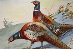 Pheasants in Winter
