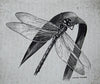The dragonfly - The Wallington Gallery