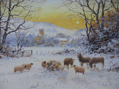 Time for sharing. Donkeys and sheep in the snow