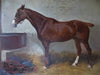A chestnut Hunter in a stable - The Wallington Gallery