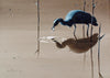 The Catch - Heron - The Wallington Gallery
