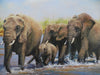 Wildlife, Animal and Sporting Paintings
