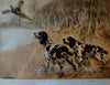 Two springer spaniels putting up a pheasant