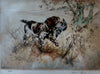 A springer spaniel retrieving a partridge