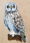 The Short-eared Owl - The Wallington Gallery