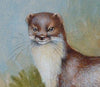 Stoat - The Wallington Gallery