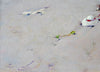 Silver Sands - The Wallington Gallery