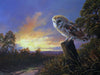 Barn Owl, The Night Shift - The Wallington Gallery