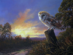 Barn Owl, The Night Shift