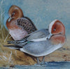 Widgeon - The Wallington Gallery