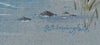 Widgeon - The Wallington Gallery