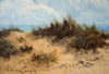 Sand Dunes - The Wallington Gallery