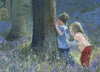 Hide and Seek in Bluebell Wood - The Wallington Gallery