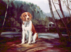 Welsh Springer Spaniel