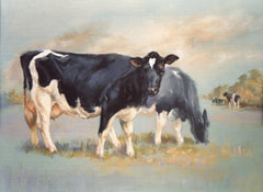Friesian Cows