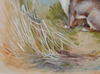 Stoat - The Wallington Gallery