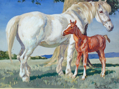A Mare and Her Foal