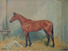 Racehorse Musidora - The Wallington Gallery