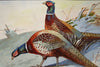 Pheasants in Winter - The Wallington Gallery