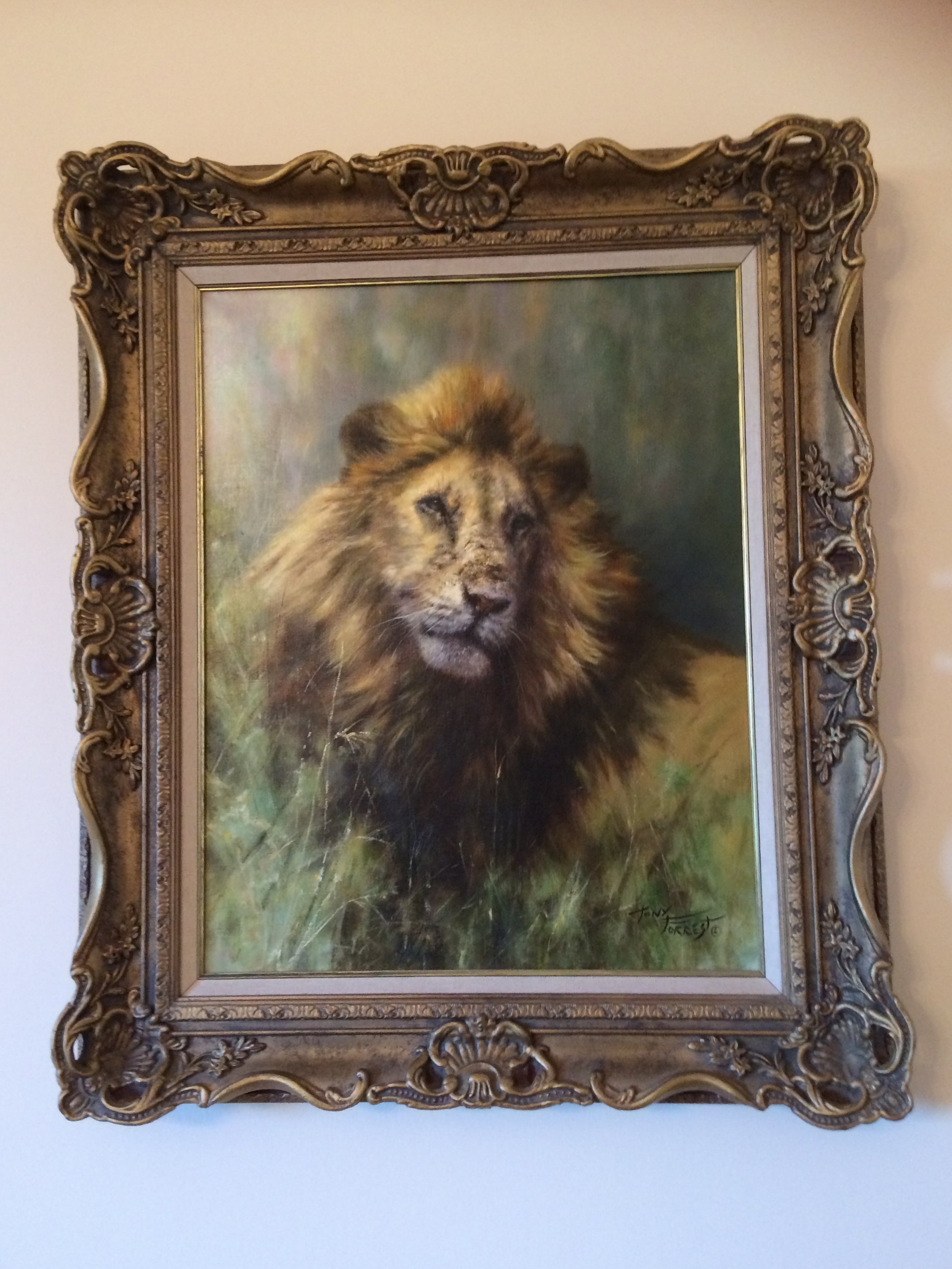 Tony Forrest Lion - Main Image