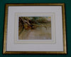 Moorhen - The Wallington Gallery