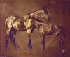 Mare and Foal - The Wallington Gallery
