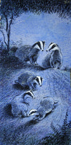 Badgers in Moonlight - The Wallington Gallery