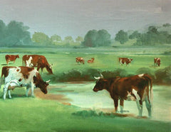 Ayrshire Cows