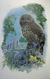 Birds and Flowers of the Castle of Mey - The Wallington Gallery