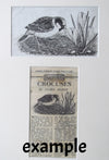 Stoats - The Wallington Gallery