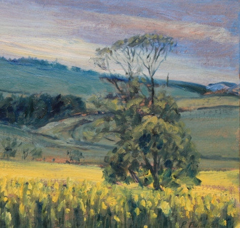 Field of Rape Seed - The Wallington Gallery