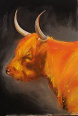 Highland Cow