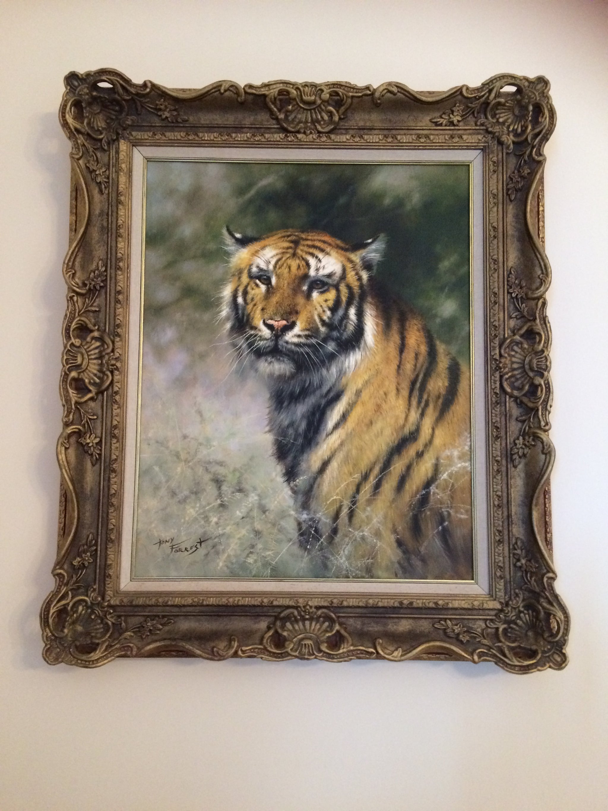 Tony Forrest Bengal tiger - Main Image