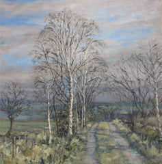 Birch on Lee's Lonnen, March