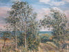 Birch on Lee's Lonnen, July - The Wallington Gallery