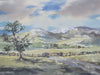 Cheviot Hills, Northumberland - The Wallington Gallery