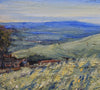 North over Northumberland from Keenley - The Wallington Gallery