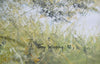 Stag - The Wallington Gallery