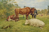 Cattle at rest - The Wallington Gallery