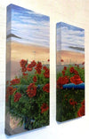 Poppies on Parade - The Wallington Gallery