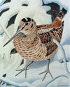 Woodcock in the Garden - The Wallington Gallery