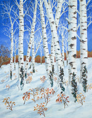 Silver Birch in Winter