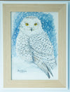 Snowy Owl - The Wallington Gallery