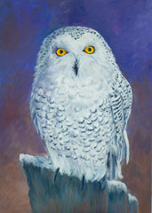 The Snowy Owl, Perched