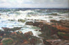 The North Sea - The Wallington Gallery