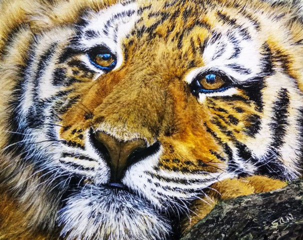 Tiger's Time Out - The Wallington Gallery