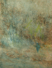 Woodland Colour